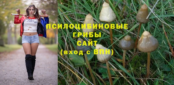 кокс Ступино