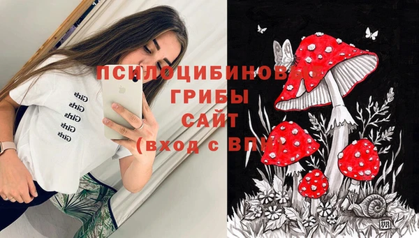 меф Нефтегорск