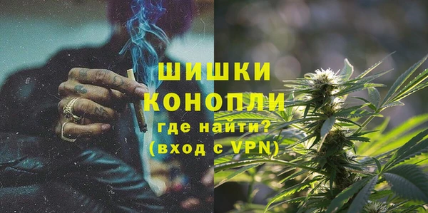 PSILOCYBIN Струнино
