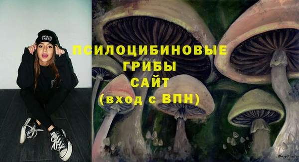 меф Нефтегорск