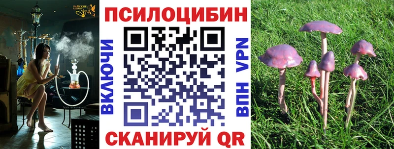 Псилоцибиновые грибы Psilocybine cubensis  MEGA tor  Курган 