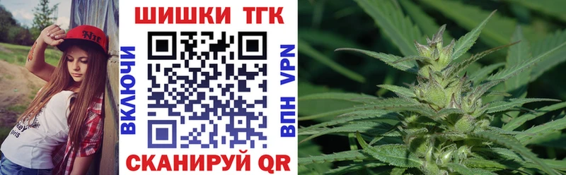 Канабис сатива Курган